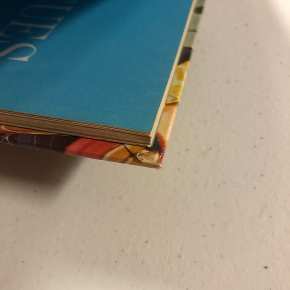 1963 Better Homes & Gardens BARBECUES AND PICNICS (Hardcover) - Picture 7 of 8